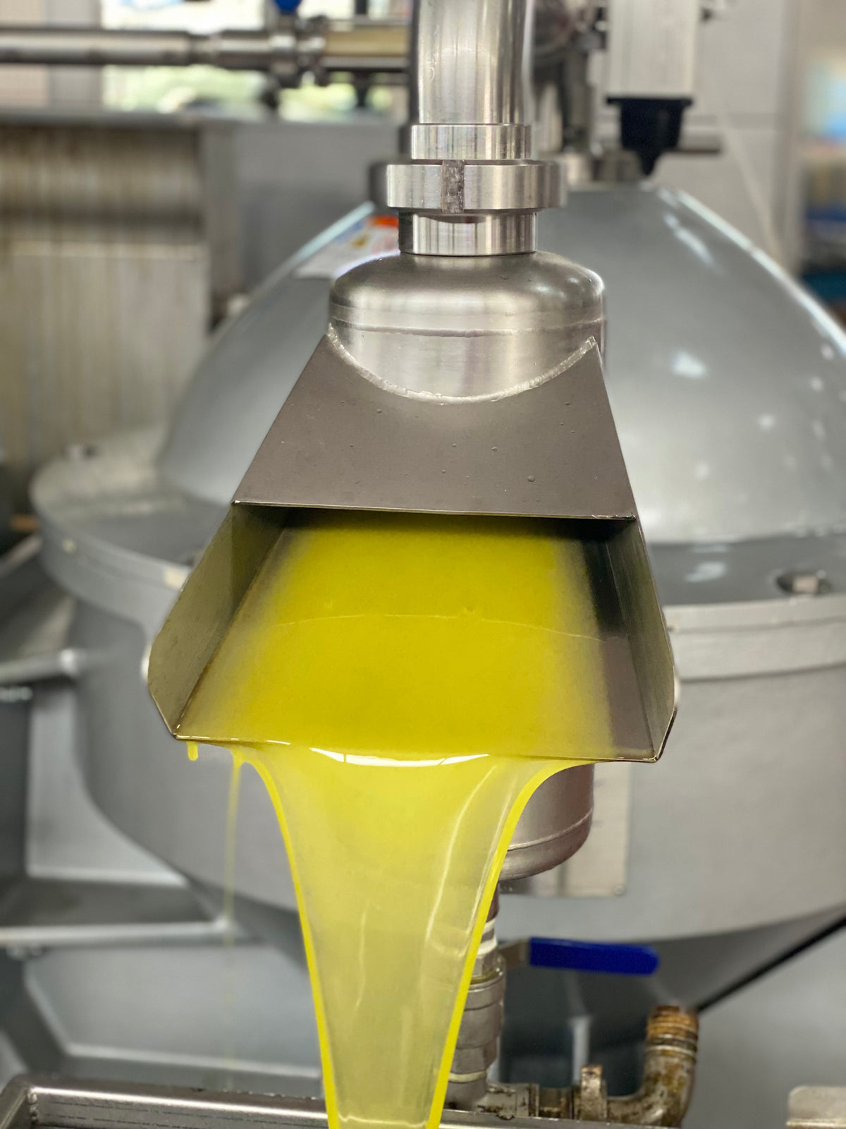 Olio Extravergine d’Oliva